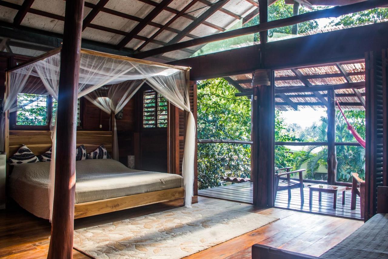 Funky Monkey Lodge Playa Santa Teresa  Dış mekan fotoğraf
