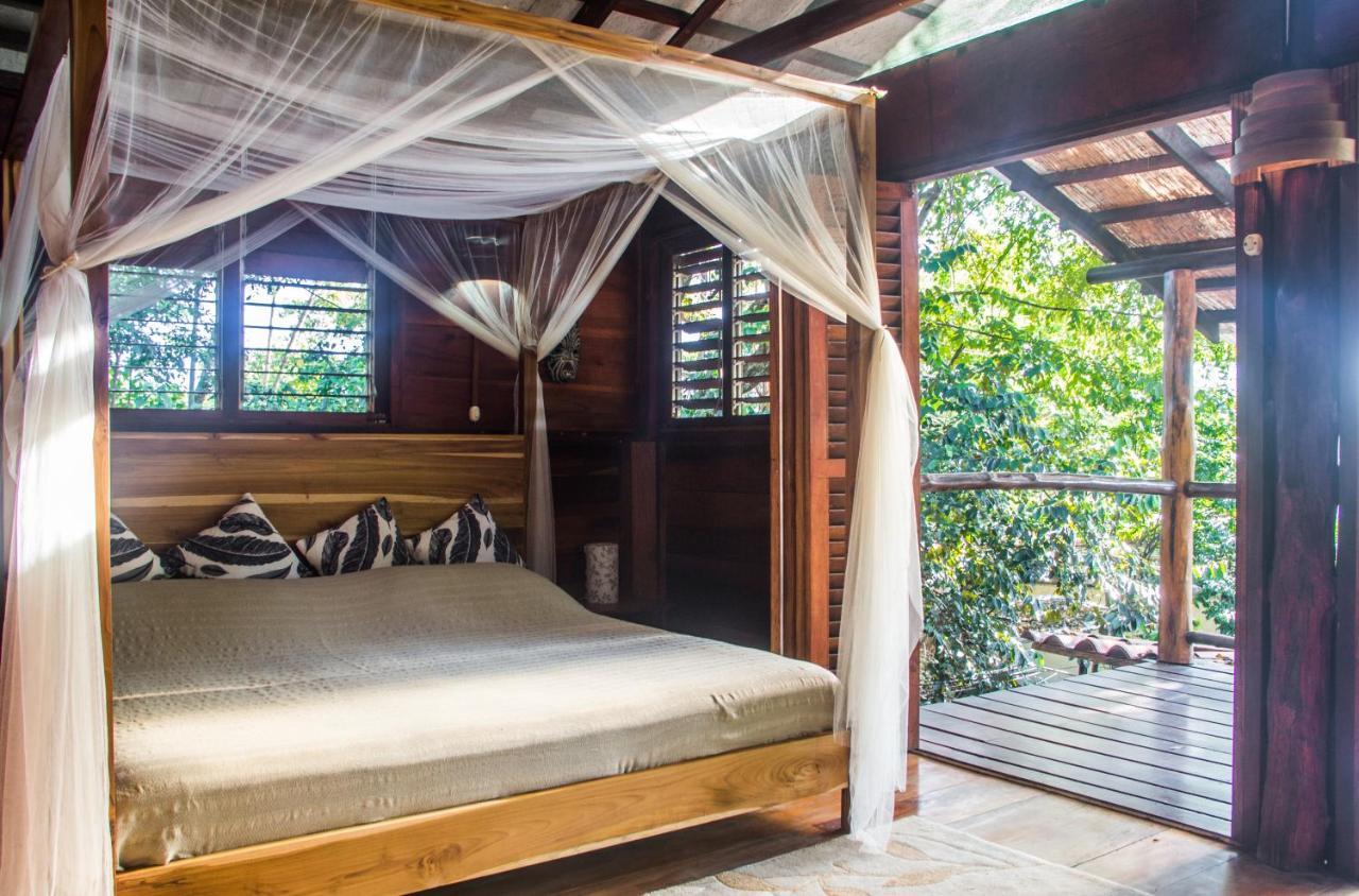 Funky Monkey Lodge Playa Santa Teresa  Dış mekan fotoğraf
