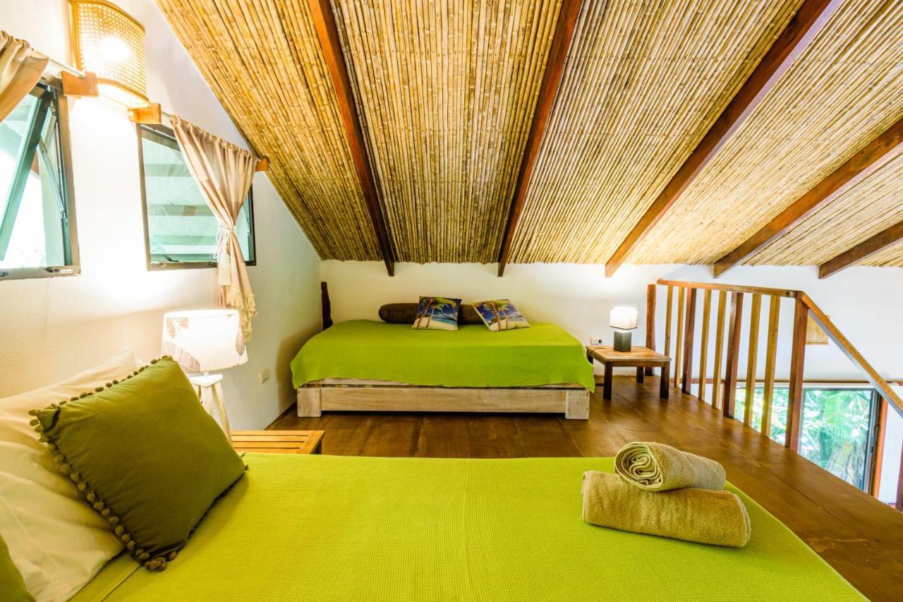 Funky Monkey Lodge Playa Santa Teresa  Dış mekan fotoğraf