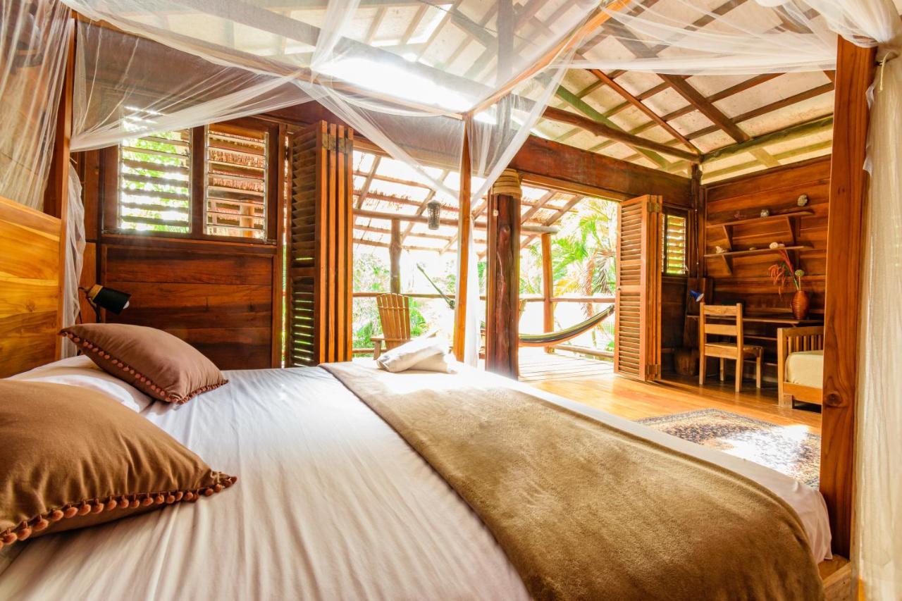 Funky Monkey Lodge Playa Santa Teresa  Dış mekan fotoğraf