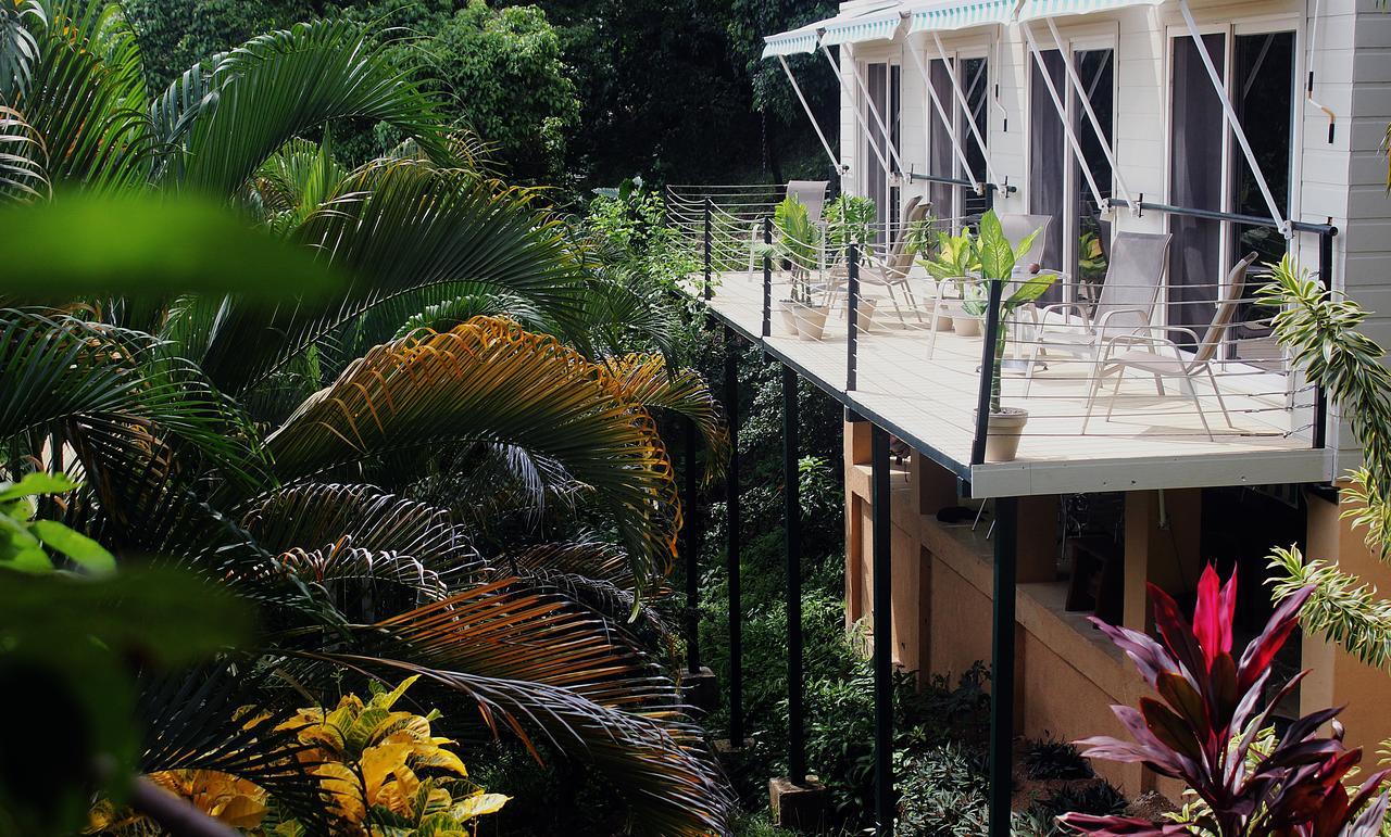 Funky Monkey Lodge Playa Santa Teresa  Dış mekan fotoğraf