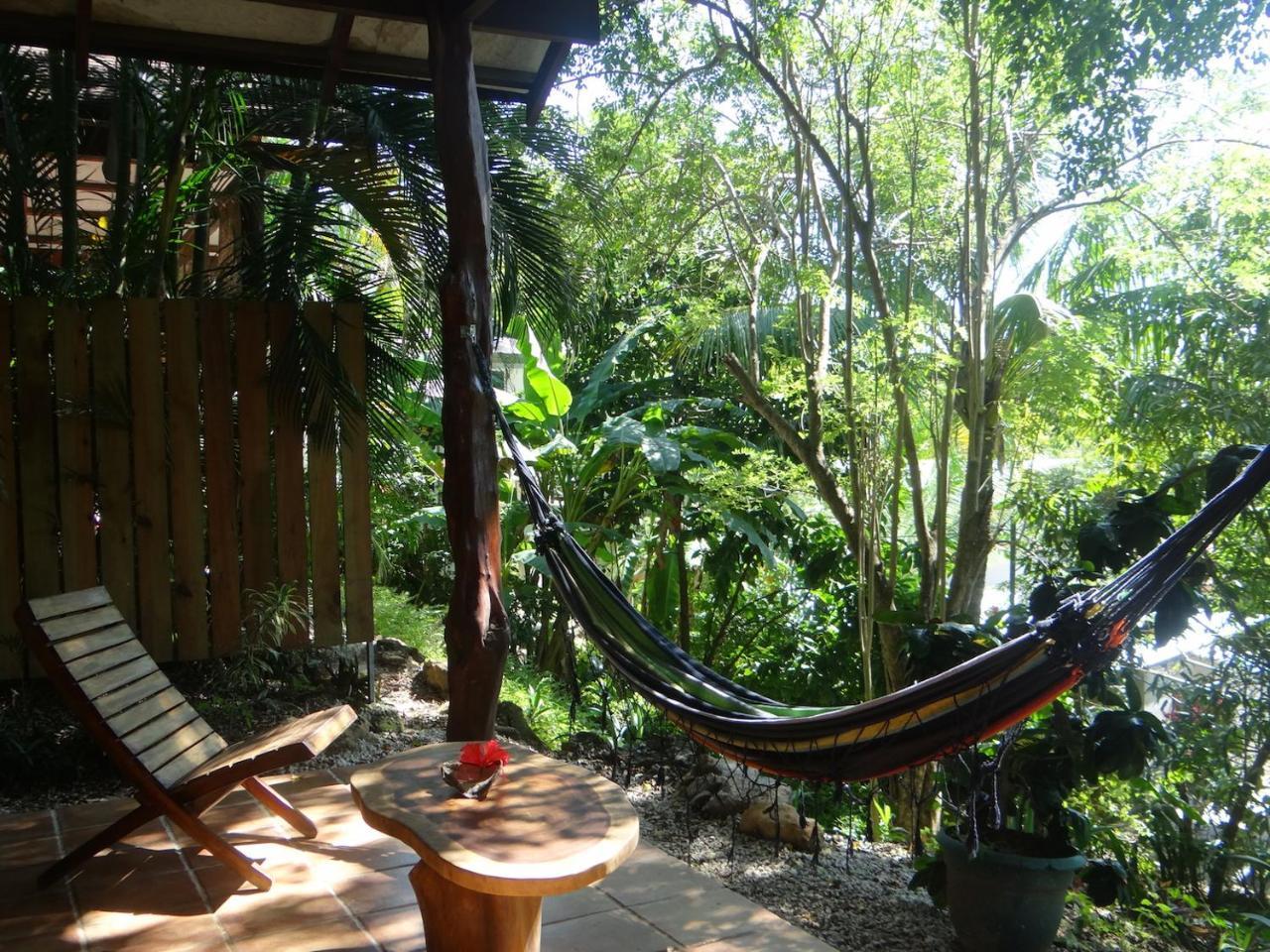 Funky Monkey Lodge Playa Santa Teresa  Dış mekan fotoğraf